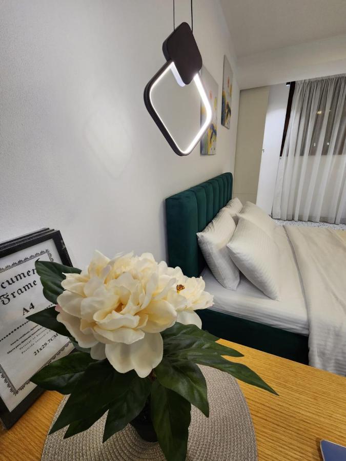 Pietro Guesthouse Tiranë Ngoại thất bức ảnh